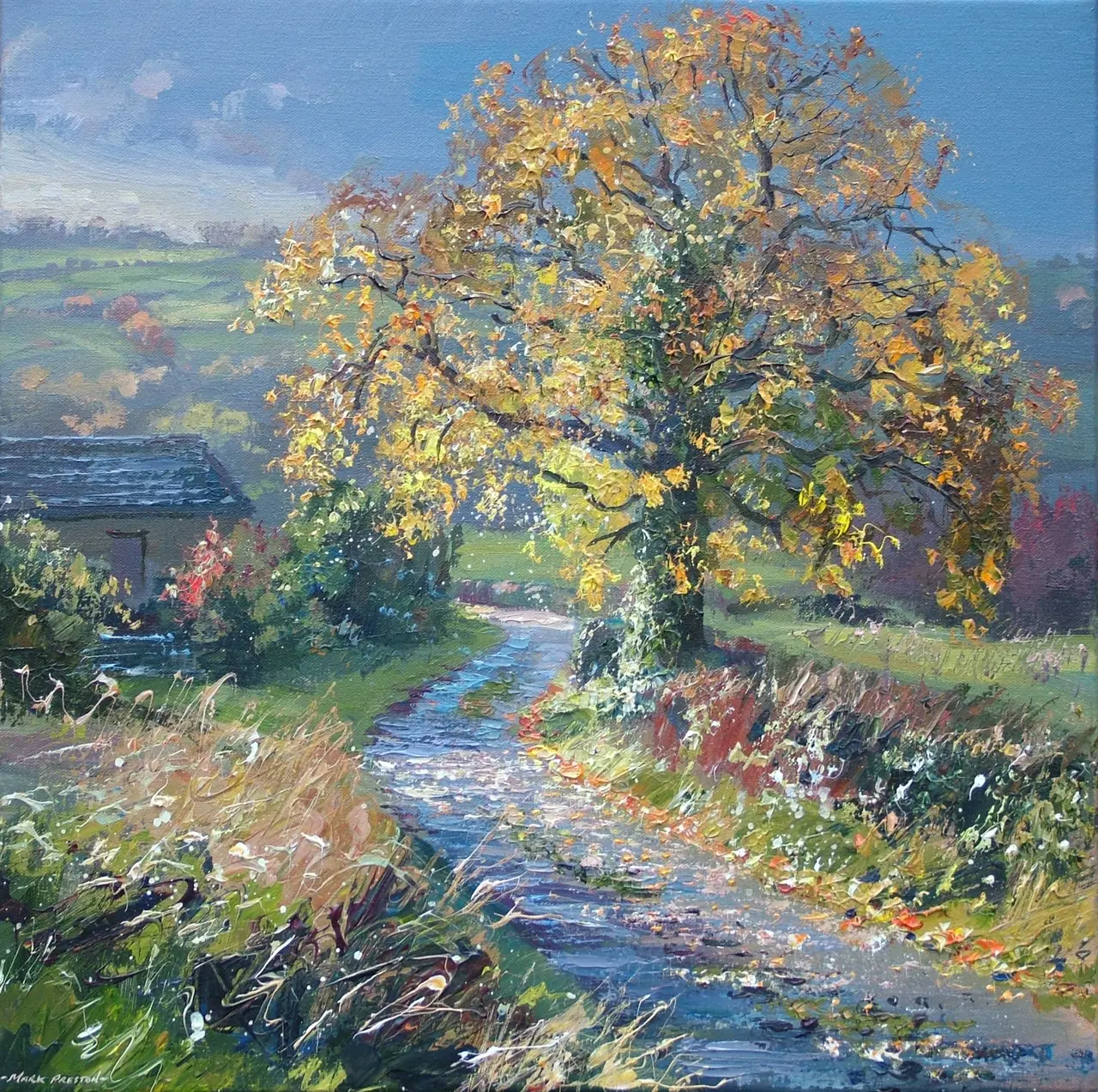 Mark Preston - sunlit oak, rookery farm lane